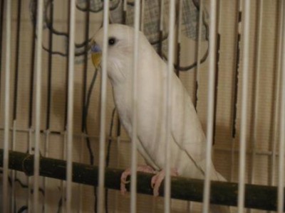 DSCN1052.JPG