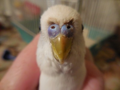DSCN1084.JPG