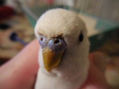DSCN1086.JPG