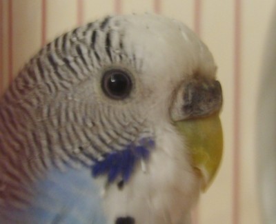 S8300100.JPG