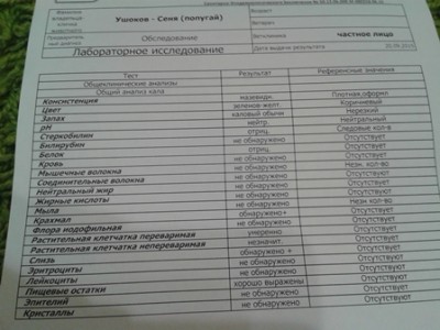 20150920_185629 - копия.jpg