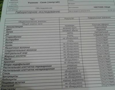20150920_185629-копия.jpg