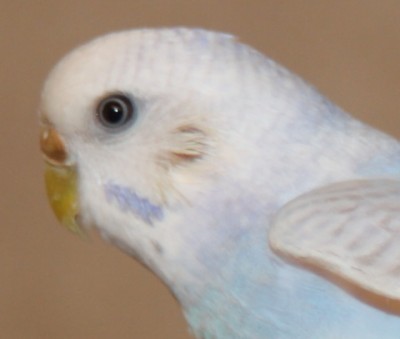 2015-10-08-12-15-35.jpg