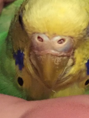 image.jpeg
