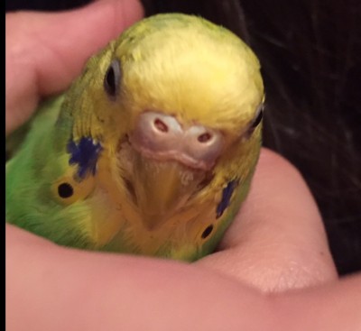 image.jpeg