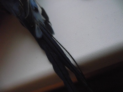 DSCF7207.JPG