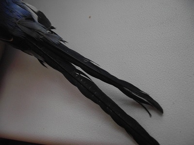 DSCF7205.JPG