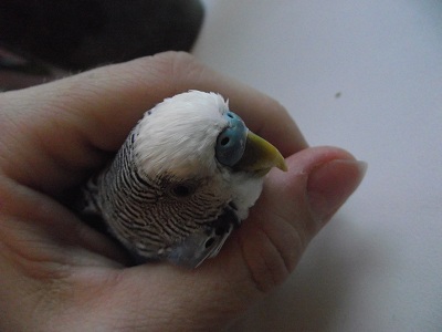 DSCF7208.JPG