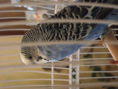 DSCF7210.JPG