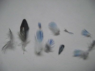 DSCF7211.JPG