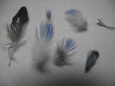 DSCF7212.JPG