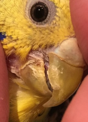 image.jpeg