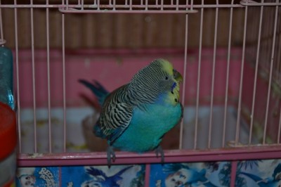 DSC_6285.JPG