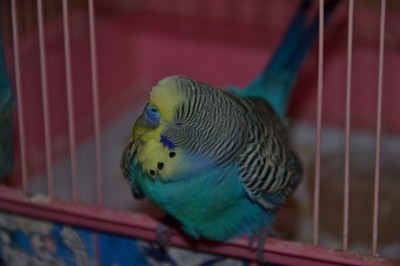 DSC_6287.JPG