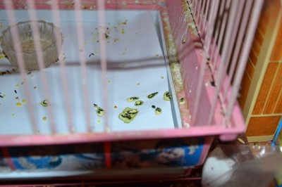 DSC_6291.JPG