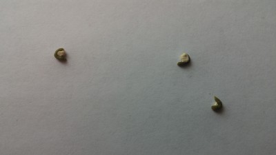 2016-01-30-16-40-08.jpg