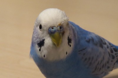 IMG_1873.jpg