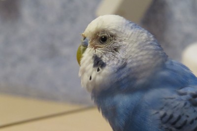 IMG_1879.jpg