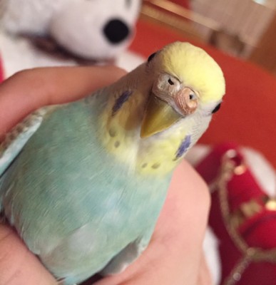 image.jpeg