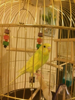 image-08-02-16-11-16.jpeg
