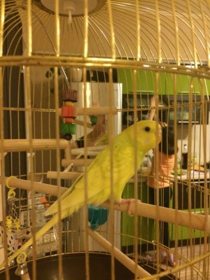 image-08-02-16-11-16-1.jpeg