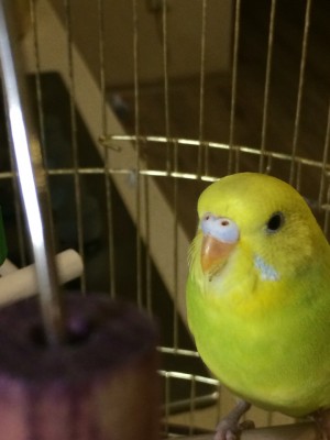 image-08-02-16-18-43-2.jpeg
