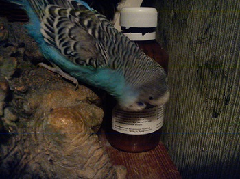 DSC07680 - копия++.jpg