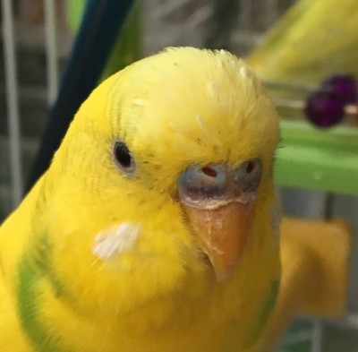 image.jpeg