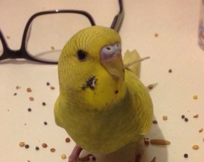 image.jpeg