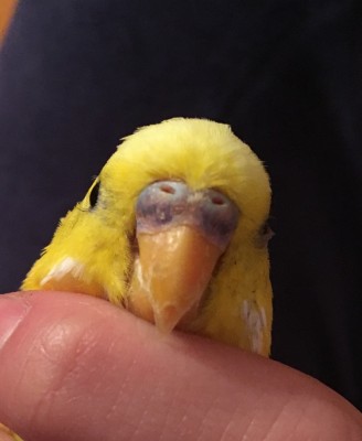 image.jpeg