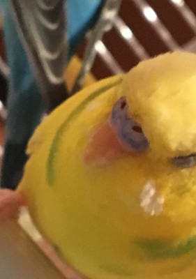 image.jpeg