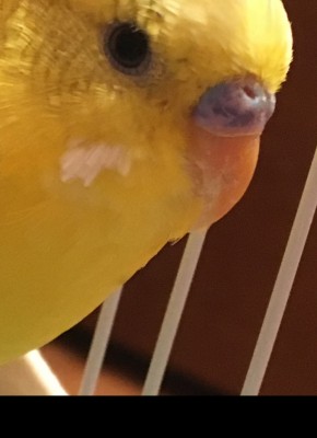 image.jpeg