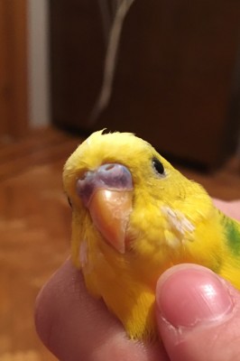 image.jpeg
