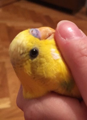 image.jpeg