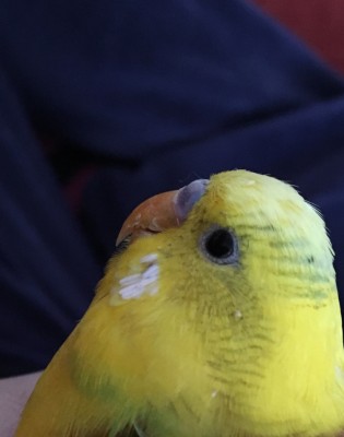 image.jpeg