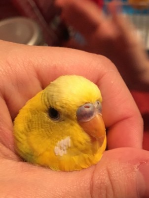 image.jpeg