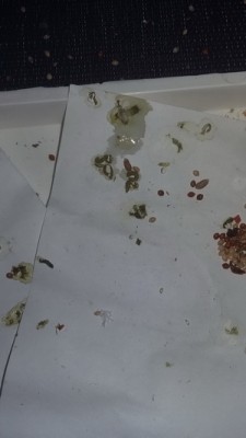 20160512_220926.jpg