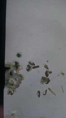 20160516_201333.jpg