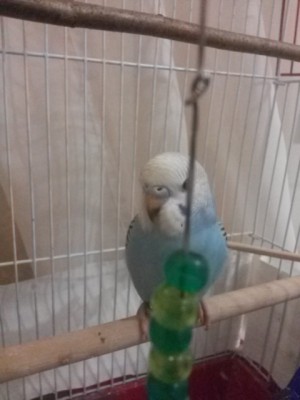 20160606_223001.jpg