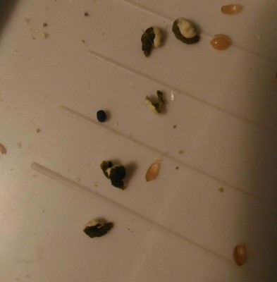 P_20160827_210256_1-min.jpg