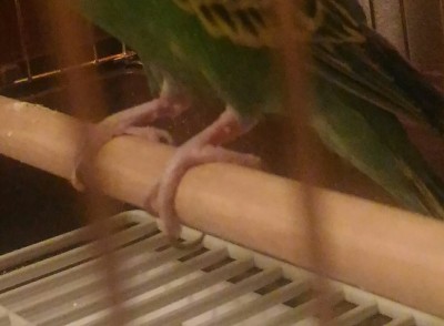 P_20161022_193904_1.jpg