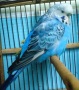 DSC00687.JPG