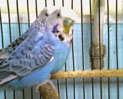 Fotka-0047.jpg