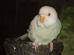 гал 0341.jpg