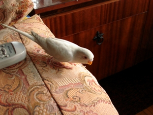 гал 0251.jpg