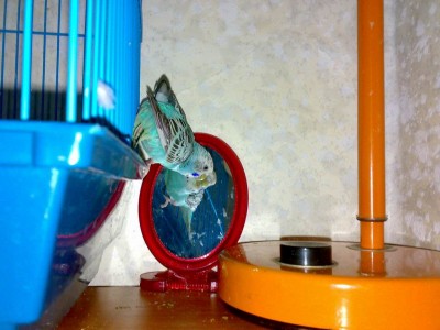 Изменение размера 08072008367.jpg