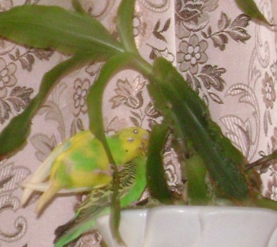 DSC02152.JPG