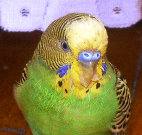 IMGP2601.JPG