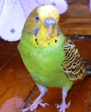 IMGP2602.JPG