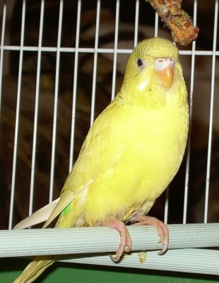 PICT4637.JPG